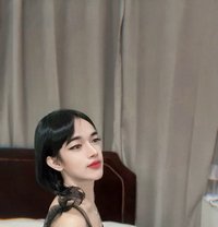 Premium Service with Jessica 🇹🇭 - Acompañantes transexual in Muscat