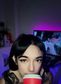 Premium Service with Jessica 🇹🇭 - Acompañantes transexual in Muscat Photo 7 of 15