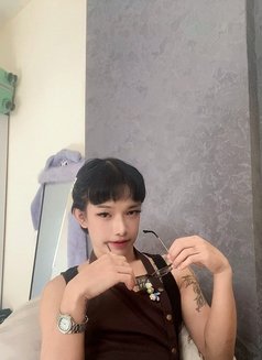 Premium Service with Jessica 🇹🇭 - Agencia de acompañantes transexuales in Muscat Photo 20 of 21