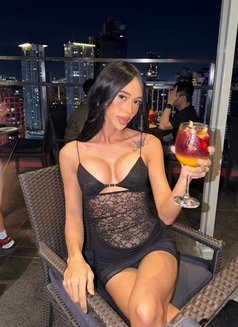 Pretty Aa - Transsexual escort in Manila Photo 1 of 9