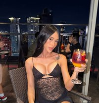 Pretty Aa - Transsexual escort in Manila