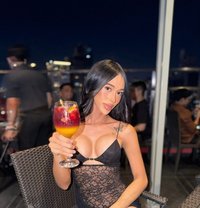 Pretty Aa - Transsexual escort in Manila