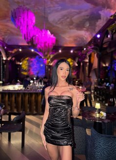 Pretty Aa - Transsexual escort in Manila Photo 6 of 9