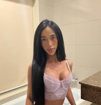 Pretty Aa - Transsexual escort in Manila