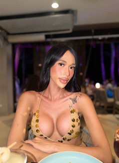 Pretty Aa - Transsexual escort in Manila Photo 12 of 15