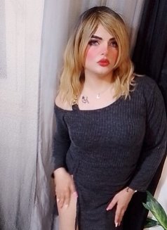 Pretty - Transsexual escort in Cairo Photo 1 of 3