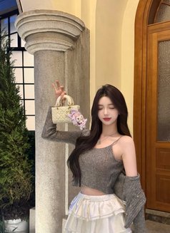 Pretty Face Japanese Independent - escort in Taipei Photo 6 of 6