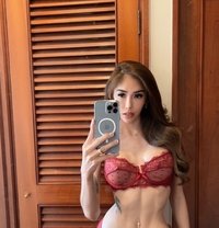 PRETTY FACE,PERFECT BODY ANGELA(Legit) - escort in Singapore