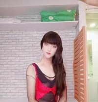 Pretty Fairy - Transsexual escort in Hong Kong