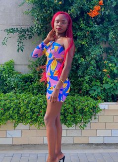 Pretty🤎🖤🤎 - puta in Nairobi Photo 1 of 11