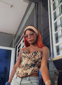 Pretty Lina🤪 - puta in Cape Verde Photo 2 of 5