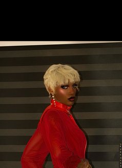 Pretty Linda - Transsexual escort in Accra Photo 15 of 15