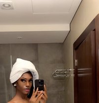Pretty Linda - Transsexual escort in Gaborone