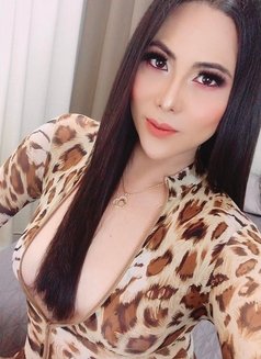 Just landed prettyMaxine for you - Transsexual escort in Manila Photo 14 of 21
