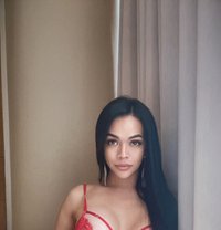 pretty mistress ROXANNE /Toy,poppers - Transsexual escort in Dubai