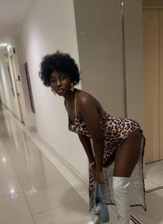 Pretty Ms Fantasy - escort in Ko Samui Photo 1 of 6