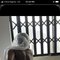 Pretty P - escort in Abuja