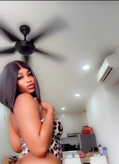 Pretty Sophia - escort in Kuala Lumpur Photo 8 of 10