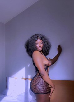 Pretty Tessy - escort in Beirut Photo 6 of 7