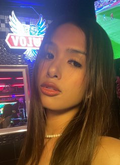 Pretty - Transsexual escort in Phuket Photo 1 of 7