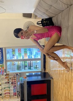 Pretty - Transsexual escort in Phuket Photo 8 of 8
