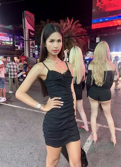 Pretty - Transsexual escort in Phuket Photo 10 of 10