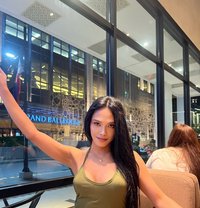 Pretty Young Hard thick tools ⚒️ - Transsexual escort in Manila Photo 1 of 11
