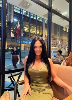 Pretty Young Hard thick tools ⚒️ - Acompañantes transexual in Manila Photo 3 of 11
