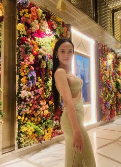 Pretty Young Hard thick tools ⚒️ - Acompañantes transexual in Manila Photo 5 of 11