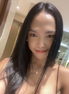 Pretty Young Hard thick tools ⚒️ - Transsexual escort in Manila Photo 12 of 13
