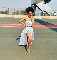 Primrose - escort in Johannesburg
