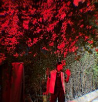 Prince - Male escort in Bangalore