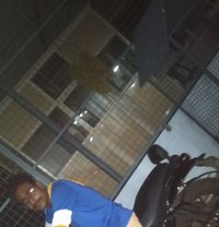 Prince. T. T - Male escort in Ernakulam