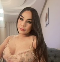 Princess Bella 69 Both - Acompañantes transexual in Dammam