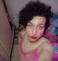 Princess_Nagham - Transsexual escort in Cairo
