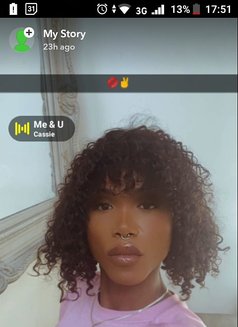 Princess Gigi - Transsexual escort in Cape Town Photo 8 of 8