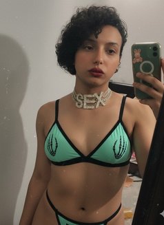 Princess_Nagham - Transsexual escort in Cairo Photo 2 of 16