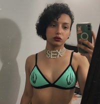 Princess_Nagham - Transsexual escort in Cairo