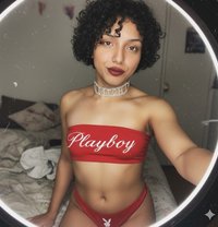 Princess_Nagham - Transsexual escort in Cairo