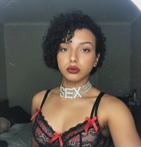 Princess_Nagham - Acompañantes transexual in Cairo