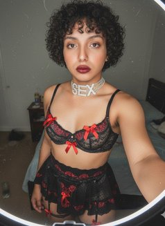 Princess_Nagham - Transsexual escort in Cairo Photo 7 of 20