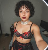 Princess_Nagham - Transsexual escort in Cairo