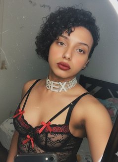 Princess_Nagham - Transsexual escort in Cairo Photo 11 of 20