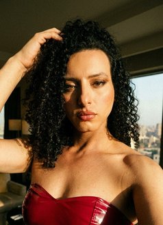 Princess_Nagham - Transsexual escort in Cairo Photo 11 of 25