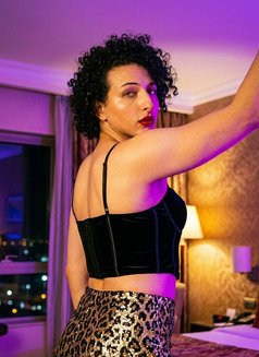 Princess_Nagham - Transsexual escort in Cairo Photo 24 of 25