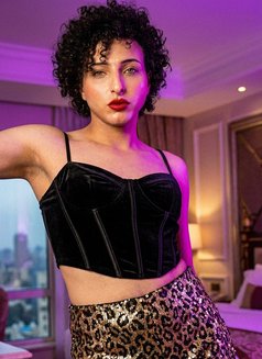 Princess_Nagham - Transsexual escort in Cairo Photo 25 of 25