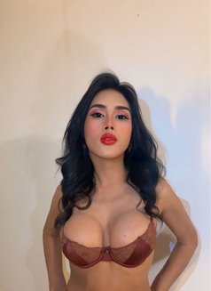 Princess of Sex & HugeCock - Transsexual escort in Bangkok Photo 15 of 15