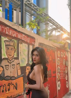 Princess of Sex & HugeCock - Transsexual escort in Bangkok Photo 3 of 15