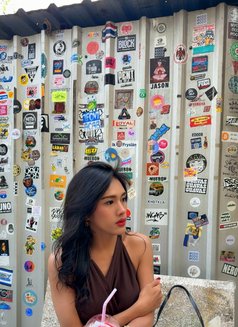 Princess of Sex & HugeCock - Transsexual escort in Bangkok Photo 5 of 15