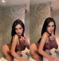 Princess of Sex & HugeCock - Acompañantes transexual in Bangkok Photo 16 of 18